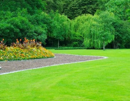 Beautiful lawn in Tyrone