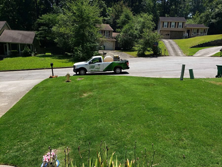Technician inspecting turf for grubs and soil health in an atlanta neighborhood