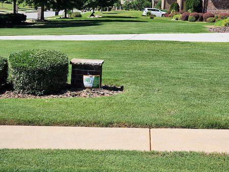 Why early fall is the best time for weed control