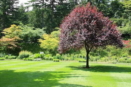 Tree shrub fertilization